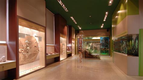 Teatro delle Scienze e Planetario di Alessandria